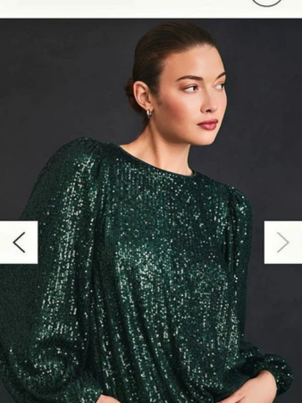 Flat White By Anthropologie Green Sequin Long Sleeve Blouse